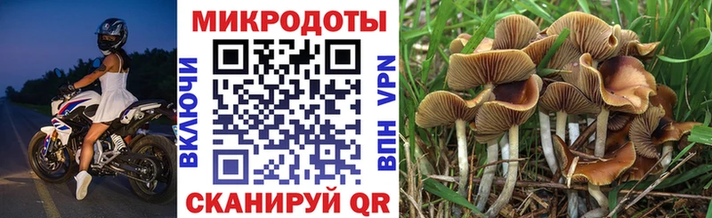 Галлюциногенные грибы GOLDEN TEACHER  закладки  ссылка на мегу   Заозёрный 